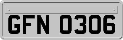 GFN0306