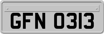 GFN0313