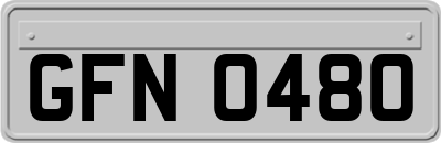 GFN0480
