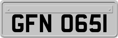 GFN0651