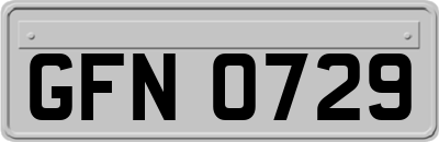 GFN0729