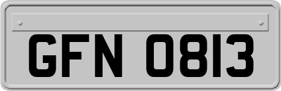 GFN0813