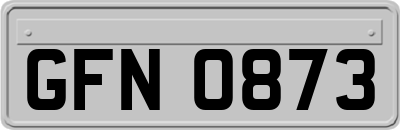 GFN0873