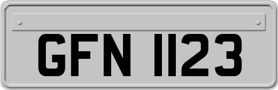 GFN1123