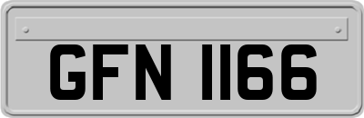 GFN1166