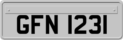 GFN1231