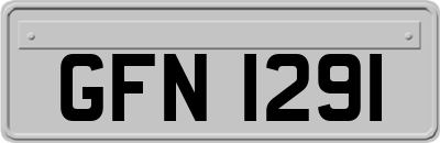 GFN1291