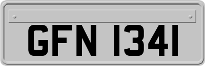 GFN1341