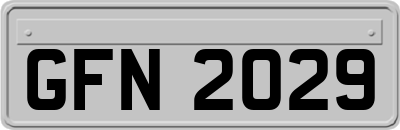GFN2029