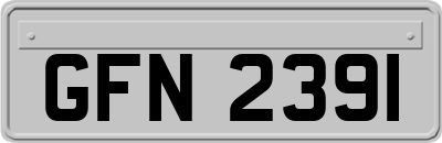 GFN2391