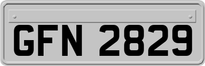 GFN2829