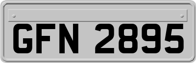 GFN2895