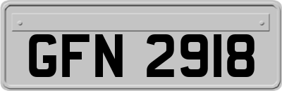 GFN2918