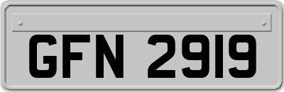 GFN2919