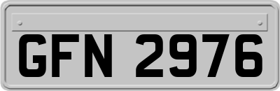 GFN2976