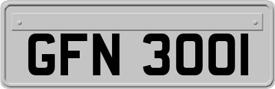 GFN3001