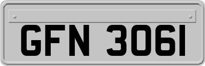 GFN3061