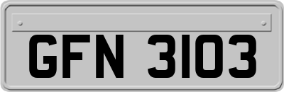 GFN3103