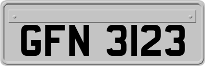 GFN3123