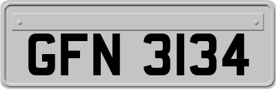 GFN3134