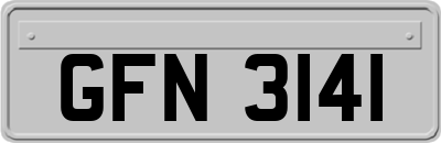 GFN3141