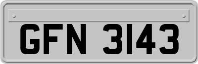 GFN3143