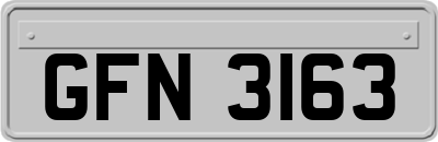 GFN3163
