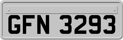 GFN3293