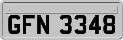 GFN3348