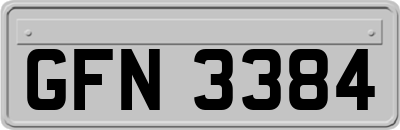 GFN3384