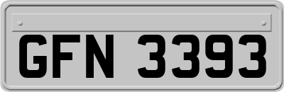 GFN3393