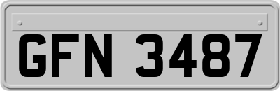 GFN3487