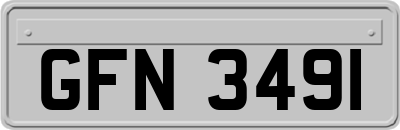 GFN3491