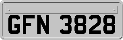 GFN3828