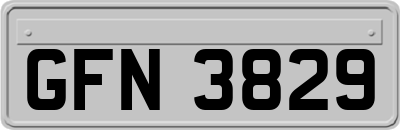 GFN3829