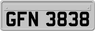 GFN3838