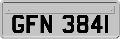 GFN3841