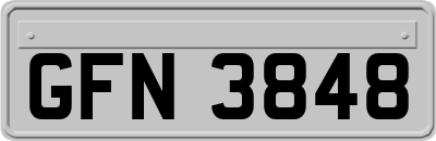 GFN3848