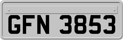 GFN3853