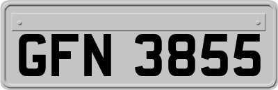 GFN3855