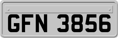 GFN3856