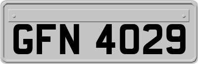 GFN4029