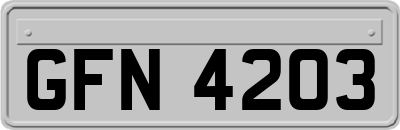 GFN4203