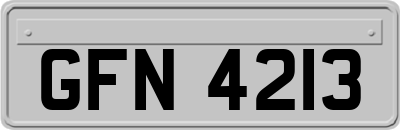 GFN4213