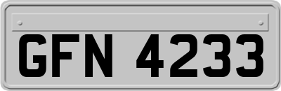 GFN4233
