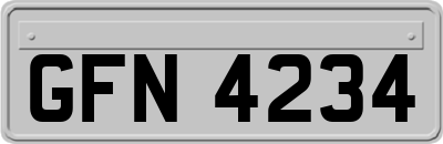 GFN4234