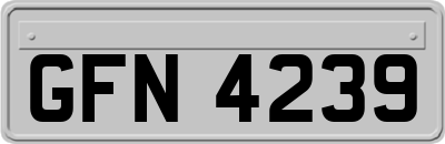 GFN4239