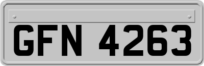 GFN4263