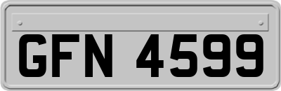 GFN4599