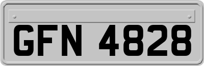GFN4828